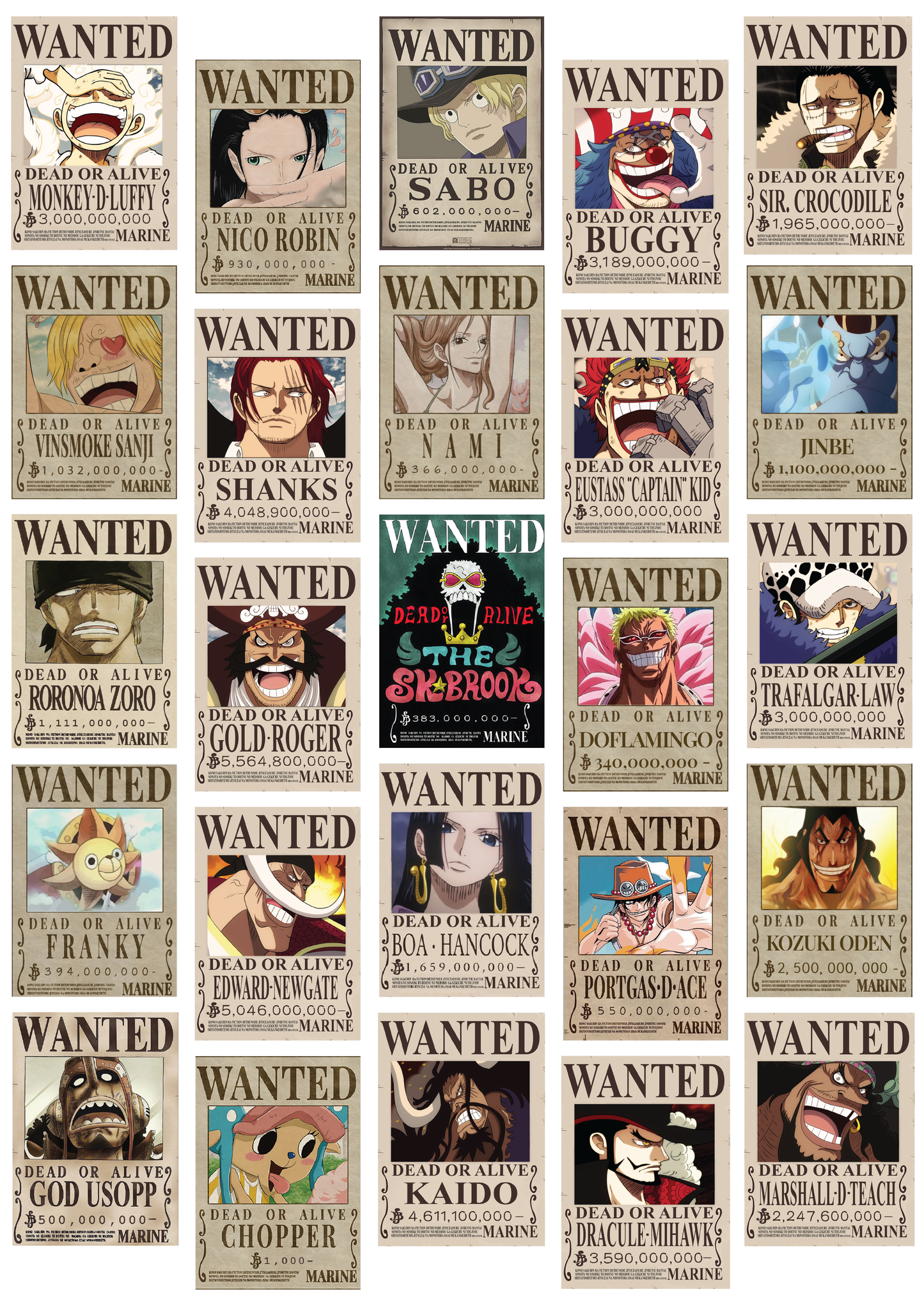 One Piece Wanted Posters Wall Collage