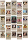 One Piece Wanted Posters Wall Collage