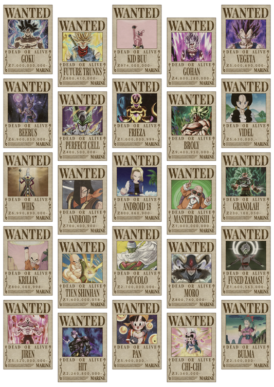 Dragonball Z Wanted Posters Collage